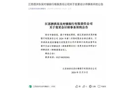 村镇银行也在“抛弃”普华永道，苏州银行旗下村行官宣更换外审机构，上市银行中仅港股存“独苗”图片