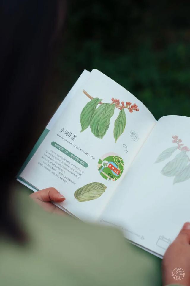 年末扫「货」，东湖年度文创清单出炉！