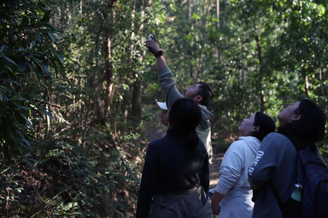 打卡自然，不留痕迹！湖南首个“无痕山林”课堂在大山冲森林公园开课