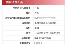 钟薛高及其创始人林盛被限消：广告人的故事，讲不动了？图片
