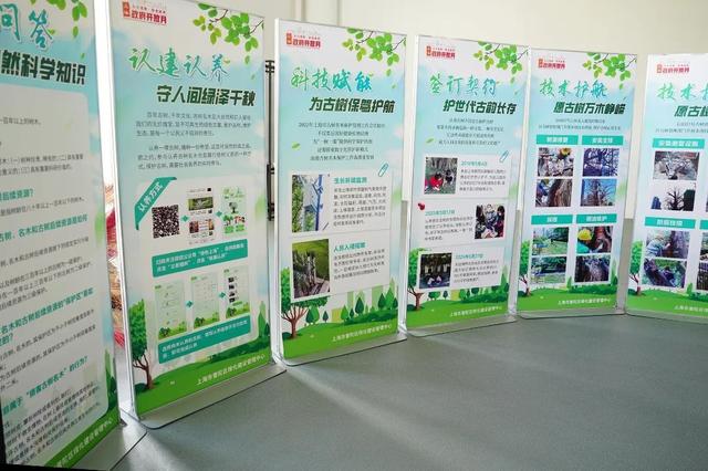全国生态日之际，普陀这场展览关注古树保护→