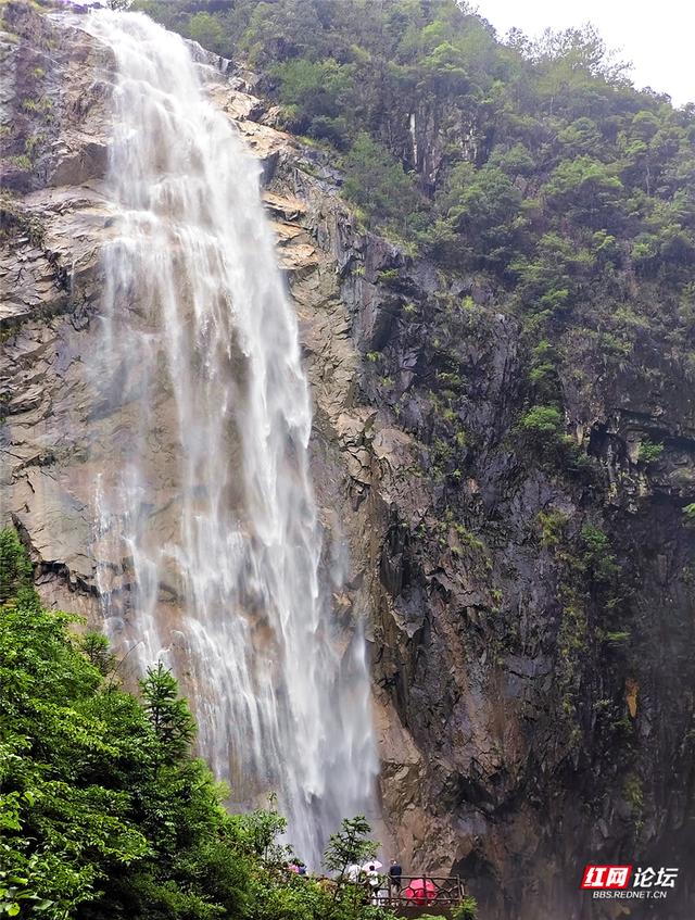 何必去远方？在桂东，我遇见23℃的夏天