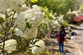 青岛世博园又“上新”，让大小朋友“趣玩”五一假期图片