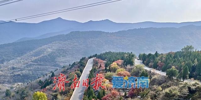 一年四季 泉在济南丨济南劈山进入红叶最佳观赏期