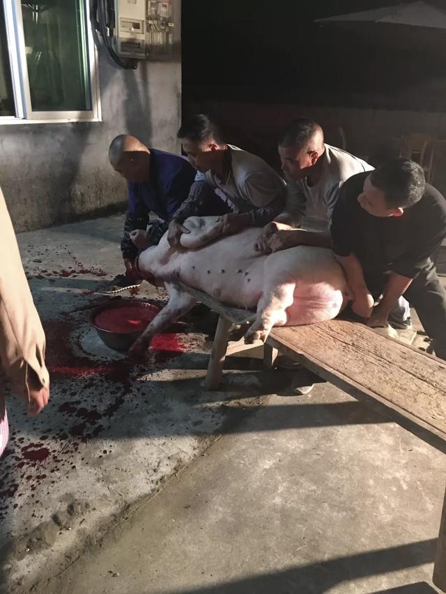 晚潮｜魅力岗石：探寻心灵安宁的古老畲韵