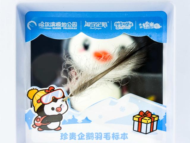 极地狂欢喜迎元旦！来哈尔滨极地公园一“企”贺新年！