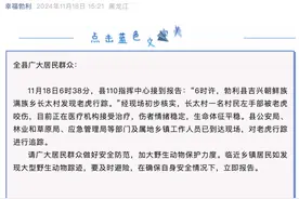 官方通报：黑龙江七台河勃利县发现老虎图片