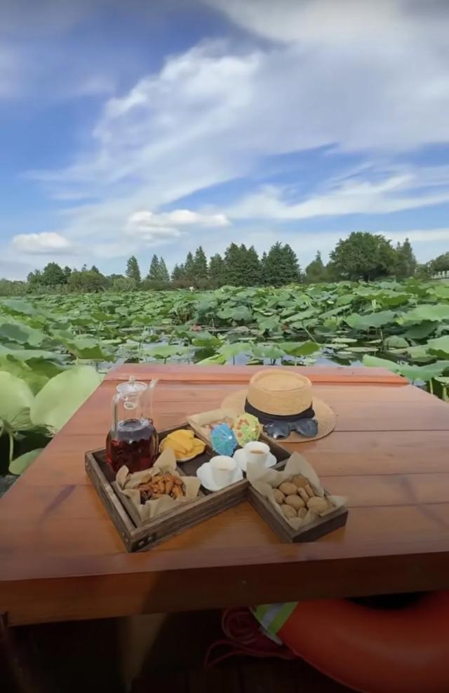 上海人的“宝藏后花园”全面升级啦！水上森林玩出新花样，这份攻略请收好！