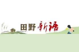 田野新语|关爱乡村留守老人：要隔“屏”陪伴，更要“常回家看看图片