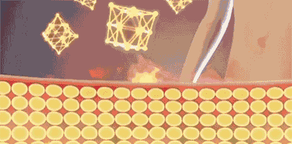 绌夸笂瀹冿紝璁╄禈鑲夆€滈€冪鈥? style=