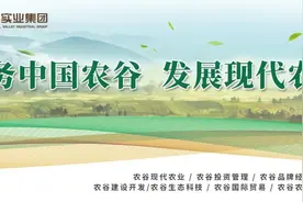 早安荆门〔2021.11.30〕丨王祺扬会见顶固集创家居股份有限公司董事长林新达一行/天顺风电产业园项目落户荆门图片