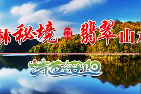 【政法之窗】关于抵制低俗婚闹的倡议和依法严厉打击婚闹的通告图片