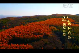 千城胜景｜四季草原锡林郭勒——秋图片