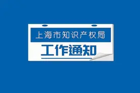 欢迎优秀的你加入！上海市知识产权保护中心事业编制工作人员公开招聘图片