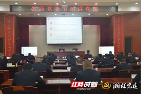 四级联动 视频联学 湖南税务纵深推进党史学习教育图片