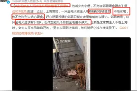 这只金毛犬到底经历了什么？邻居：主人的行为太可恶图片
