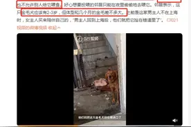 这只金毛犬到底经历了什么？邻居：主人的行为太可恶图片
