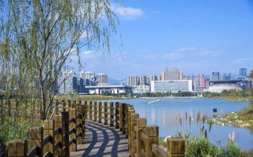 旦旦是什么意思（第一次听说）