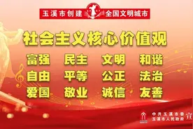 以担当诠释初心 用实干践行使命！市五届人大常委会工作综述图片