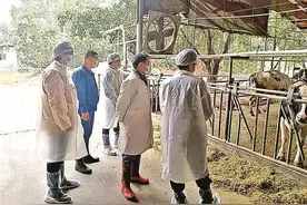 光明新陂头奶牛场入选全国试点达标养殖场图片