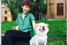 当一个作家，决定住进精神病院图片