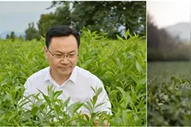 两位院士谈健康喝茶：一天、一年、一生都要遵循规律图片