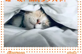 越睡越瘦？好像真的可以图片