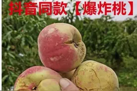 “爆炸桃”成网红，品相不佳卖价不低！专家：吃的时候要当心图片