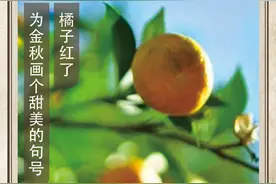 农历中国 | 九月廿七 · 橘子红了图片