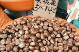 在汉口天声街，吃遍全国美食图片