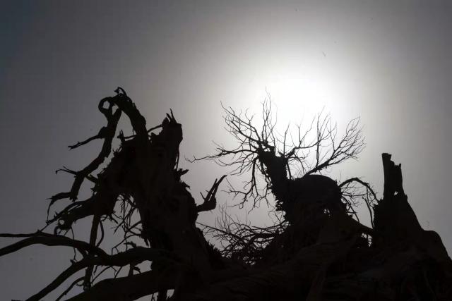 �������й���-�߽����������ɷ�����ʮ������