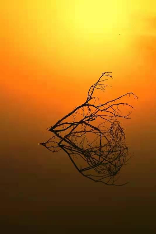 �������й���-�߽����������ɷ�����ʮ������