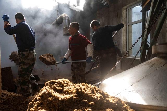 �������й���-�߽����������ɷ�����ʮ������