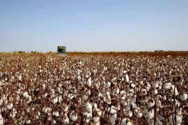 �������й���-�߽����������ɷ�����ʮ������