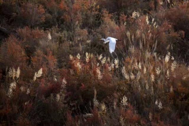 �������й���-�߽����������ɷ�����ʮ������