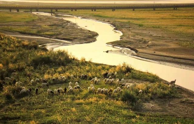 �������й���-�߽����������ɷ�����ʮ������