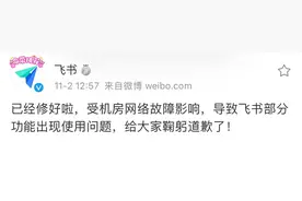 飞书回应“崩了”：系因机房网络故障，现已修好图片