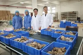 识骨寻踪！这项技术拨开数百年前历史迷雾图片