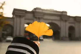 人间朝暮，落叶知秋！图片