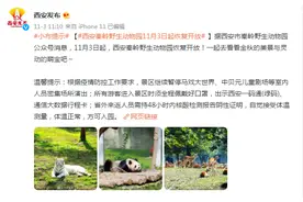 西安秦岭野生动物园11月3日起恢复开放图片