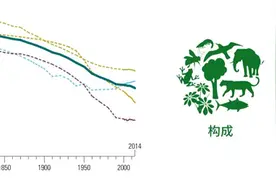 生物多样性保护的欧莱雅样本：转变业务模式，打造伙伴生态圈图片