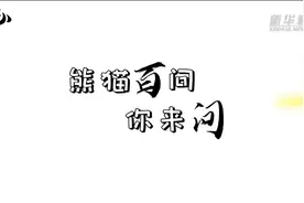 熊猫百问你来问｜大熊猫喜欢在哪儿睡觉？图片