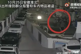 安徽淮北：“富二代”学生为寻刺激 深夜拉车盗窃被刑拘图片