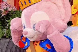 诞生即顶流？这只粉狐狸是如何爆红的？图片