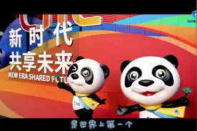 全球连线 | 进博会，“博览”开放的中国图片