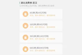 新一轮湖北消费券刚刚发放，你领到了吗？图片