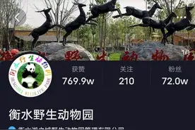 摆拍幼猴吸烟，别以虐待动物博流量 | 新京报快评图片