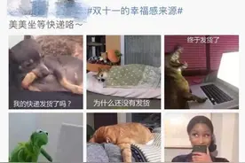 “陈某会不会生气啊？”妹子晒的双11购物记录火了！网友笑了：错过这个我才会生气图片