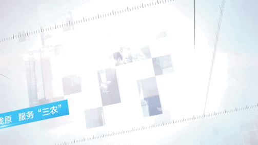 ͶƱ�����䶼��7��ũ��Ʒ��������׽조ʮ������Ʒ�ơ���ѡ�����ͶƱ����