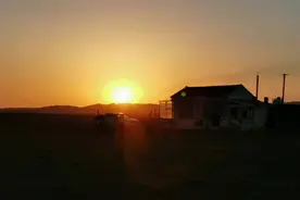 90后小伙离开上海去放羊：“我要在人生赛道上披荆斩棘”图片